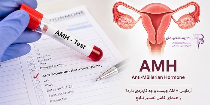 آزمایش AMH؛ هر آنچه باید درباره ذخیره تخمدان و باروری بدانید