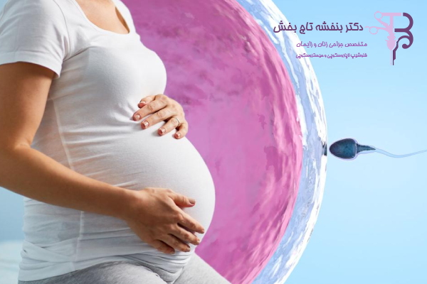 کمبود کدام ویتامین‌ها باعث ناباروری می‌شود؟
